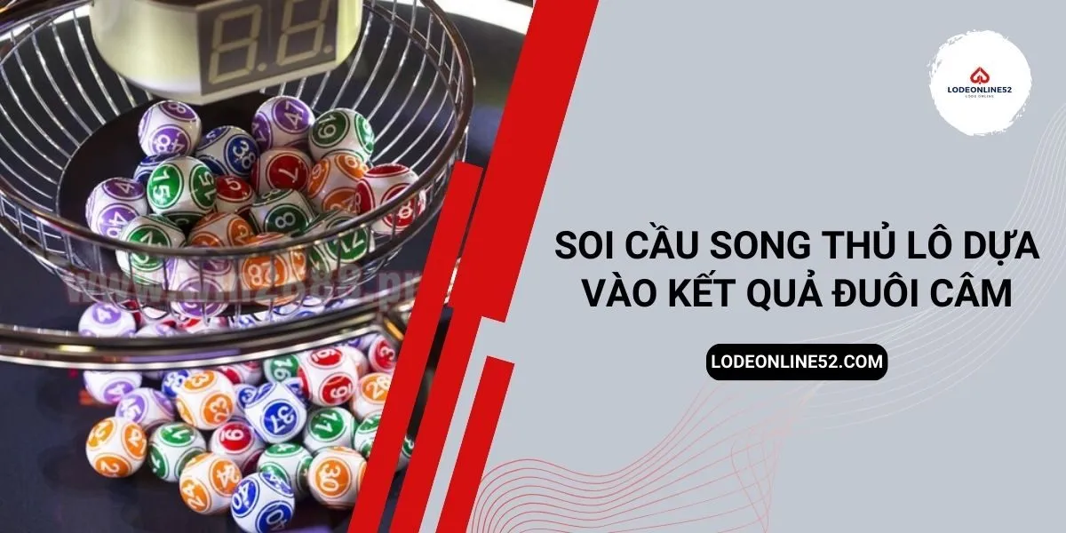 soi-cau-song-thu-lo-dua-vao-ket-qua-duoi-cam